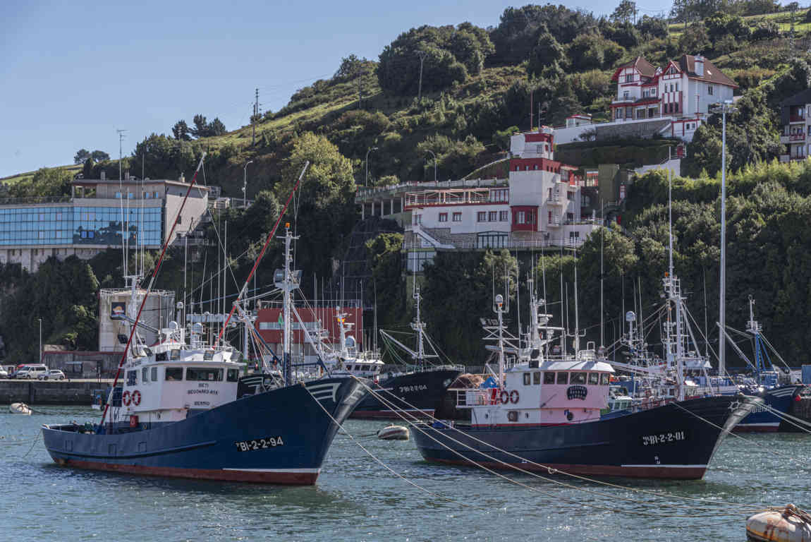 Vizcaya - Bermeo 08 - puerto.jpg